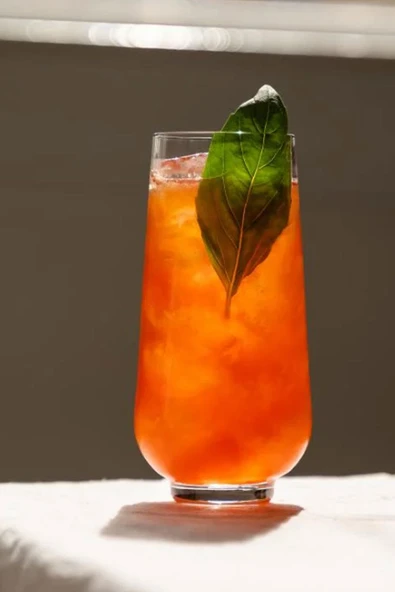 Paşabahçe Nude 6'lı Hepburn Uzun Kokteyl Bardağı Seti 68060 425 cc - Resim 5