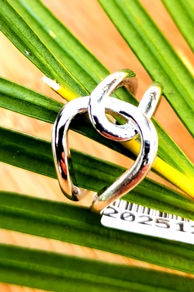 Monalisa Home Lüks Çelik Gümüş Renk Kıkırdak Küpe ürün görseli 1