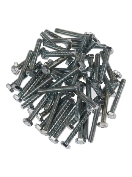 M10*30 ALTI KÖŞE CİVATA KAPLI 8,8