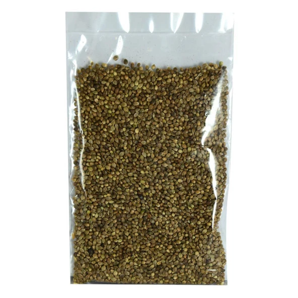 Doğal Tane Kenevir Tohumu 1.Kalite Kendir Tohum Tane 100GR - 2