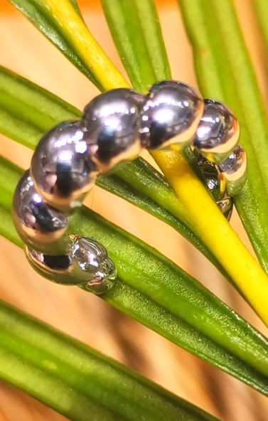 Monalisa Home Lüks Çelik Gümüş Renk Kıkırdak Küpe ürün görseli 1