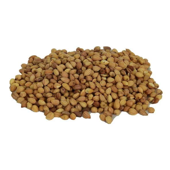 Doğal Tane Mahlep Kokulu Taneli Prunus Mahaleb 100GR - 5