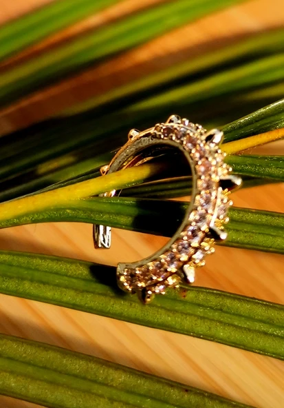 Monalisa Home Lüks Çelik Gold Renk Kıkırdak Küpe ürün görseli 1