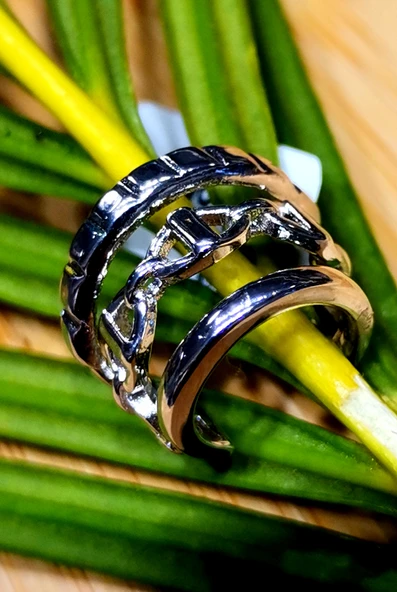 Monalisa Home Lüks Çelik Gümüş Renk Kıkırdak Küpe ürün görseli 1