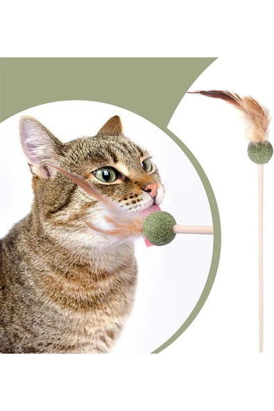Pribor Tüylü Catnipli Kedi Oyun Oltası, Kedi Naneli