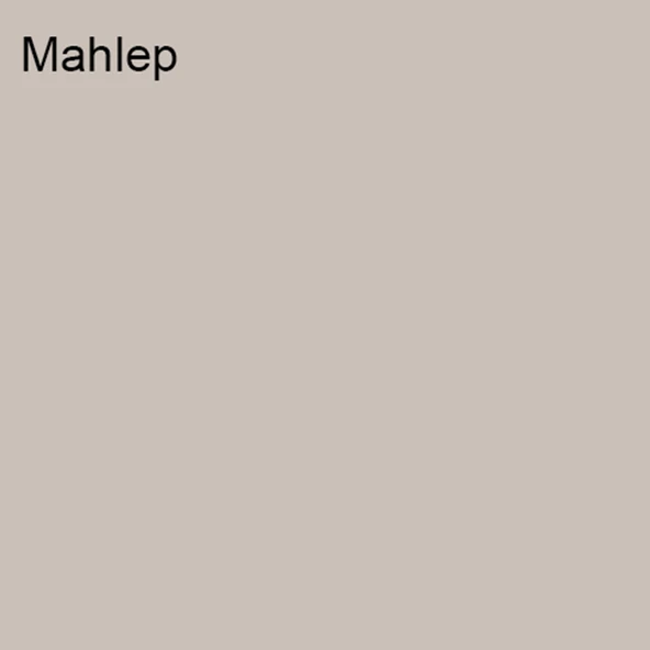Marshall Silikonlu Özel Mat Mahlep 7,5lt (10 Kg) - 2