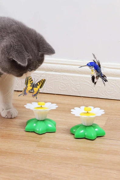 Hareketli Dönen Kelebek - Kedi Oyuncağı ( Pille Çalışır) - 3