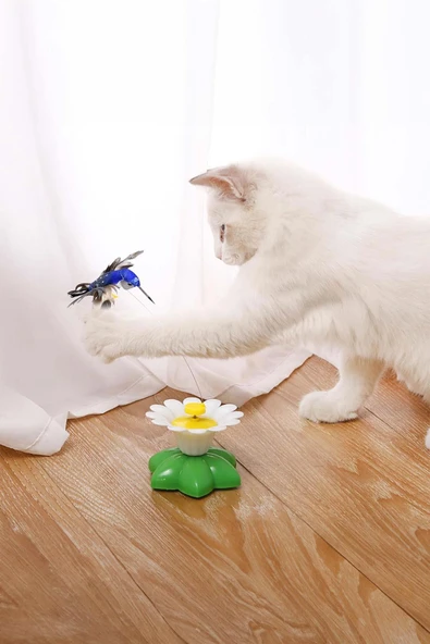 Hareketli Dönen Kelebek - Kedi Oyuncağı ( Pille Çalışır) - 2