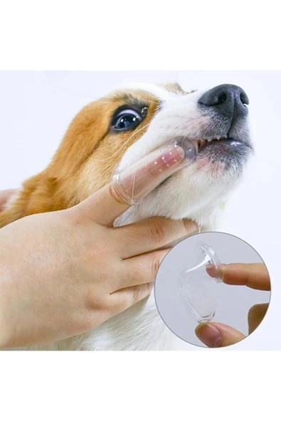 Pirbor Kedi Ve Köpek Parmak Diş Fırçası Kolay Kullanımlı Evcil Hayvan Diş Bakım Fırçası - 4