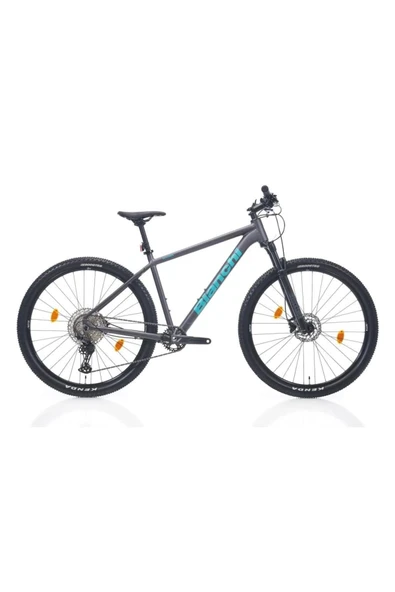 BIANCHI MAGMA COMP 9.S ERKEK DAĞ BİSİKLETİ 480H HD 29 JANT 12 VİTES DEORE MAT GRİ CELESTE
