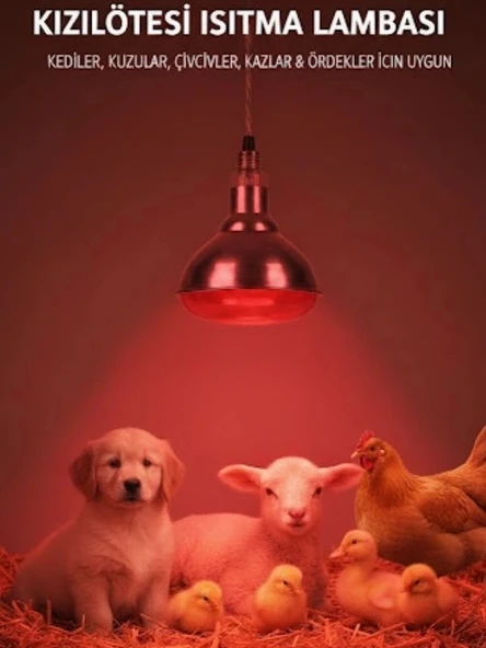 Evonest Infrared Kümes Isıtıcı Lamba 250W | Sadece Lamba ürün görseli