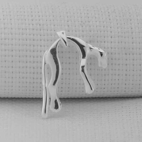 Puma 925 Ayar Gümüş Kolye Ucu - Resim 2