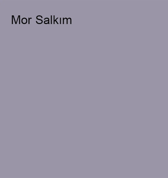 Marshall Silikonlu Özel Mat Mor Salkım 0,75lt (1 Kg) - 2