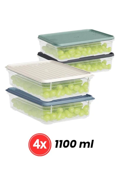 Flora 8'li Buzdolabı Düzenleyici Set, Buzluk Derin Dondurucu Buzdolabı Saklama Kabı 4x(1100,2200ml) - Resim 3