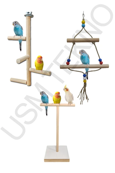 Kuş Tüneği Ahşap Tünek T Tünek Kuş Salıncağı 3 Lü Set Kuş Aksesuarı - Resim 8