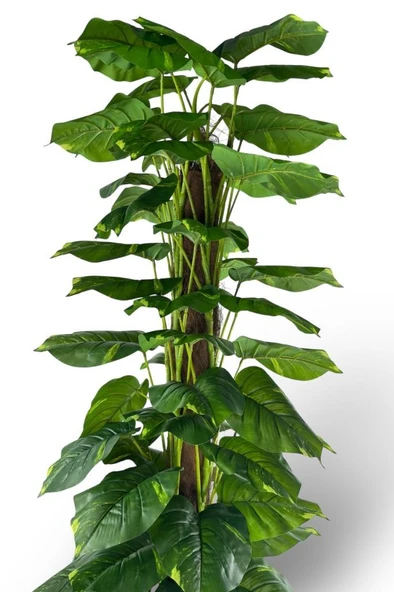 Nettenevime Yapay Çiçek Pothos Salon Sarmaşığı Tropik Salon Bitkisi Yapay Ağaç 165cm - Resim 3