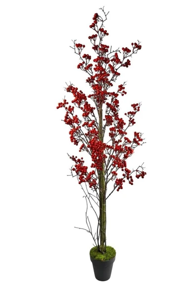 Nettenevime Yapay Ağaç Kokina Ağacı 150CM Doğal Görünümlü 7dallı - Resim 2