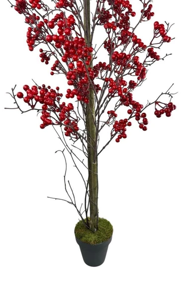 Nettenevime Yapay Ağaç Kokina Ağacı 150CM Doğal Görünümlü 7dallı - Resim 4