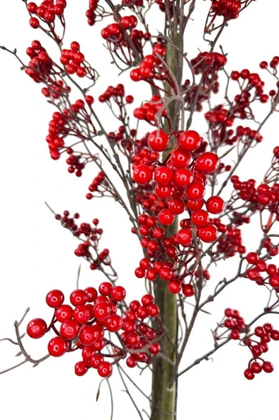 Nettenevime Yapay Ağaç Kokina Ağacı 150CM Doğal Görünümlü 7dallı - Resim 5