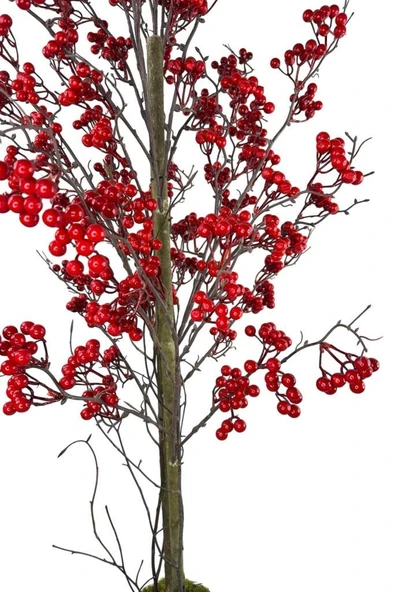 Nettenevime Yapay Ağaç Kokina Ağacı 150CM Doğal Görünümlü 7dallı - Resim 6