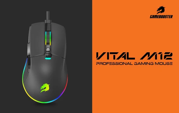 GAMEBOOSTER GB-M12B USB Kablolu 12800dpi siyah Vital RGB Aydınlatmalı Oyuncu Mouse - 3