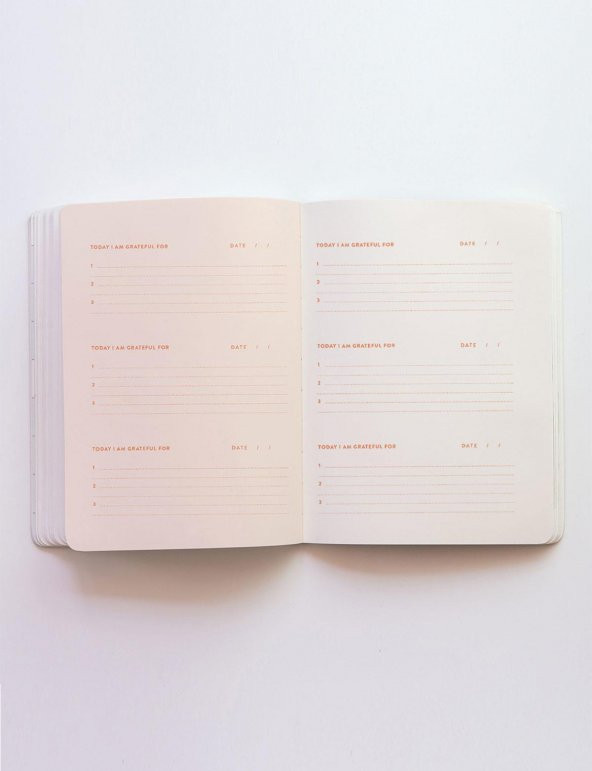 Fabooks Blush Şükür Günlüğü - 4