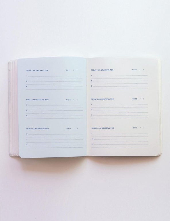Fabooks Blush Şükür Günlüğü - 5