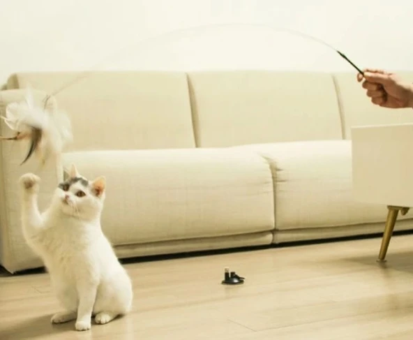 Pratik Vantuzlu Tüylü Zilli Kedi Oyun Oltası - 5