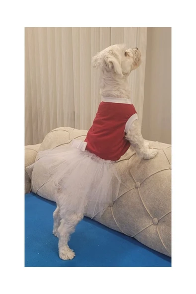 Beyaz Fiyonklu Tüllü Kırmızı Kedi Köpek Kıyafeti Elbisesi Medium/M/Beden 2