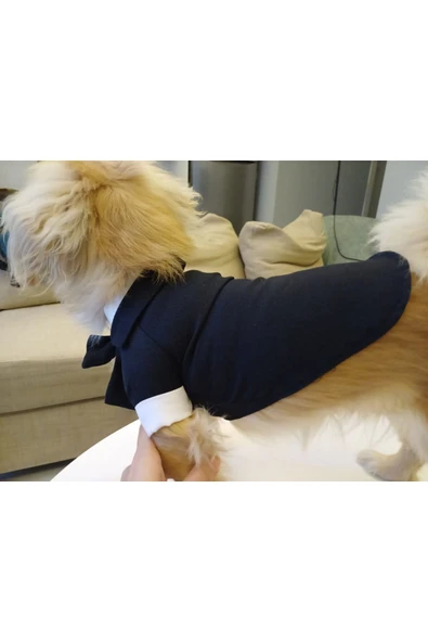 Goboticaret Kedi ve Köpek Takım Elbisesi Siyah Papyonlu Smokin Kıyafeti Damatlık - 3
