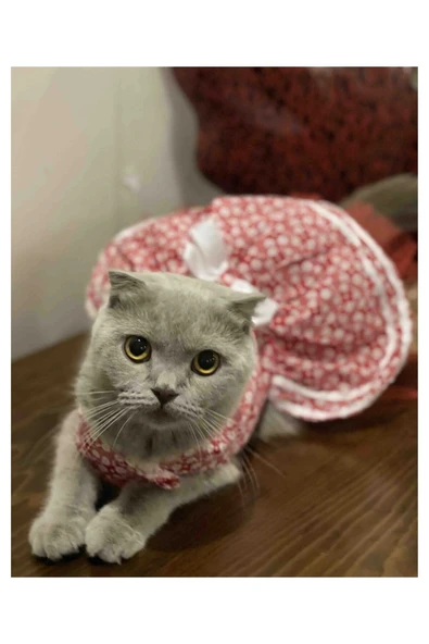 Beyaz Çiçek Desenli Fiyonklu Kırmızı Kedi Köpek Kıyafeti Elbisesi XSmall/XS/Beden 0