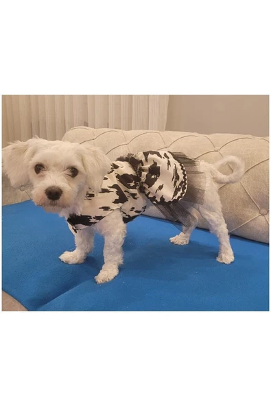 Siyah Beyaz Leopar Desenli Tüllü Kedi Köpek Kıyafeti Elbisesi
