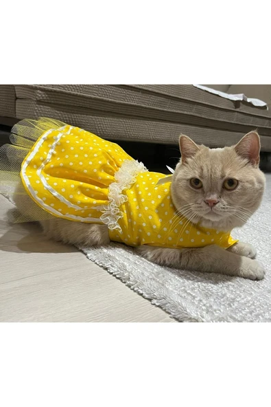Sarı Puantiyeli Kurdeleli Kedi Köpek Kıyafeti Elbisesi Medium/m/beden 2