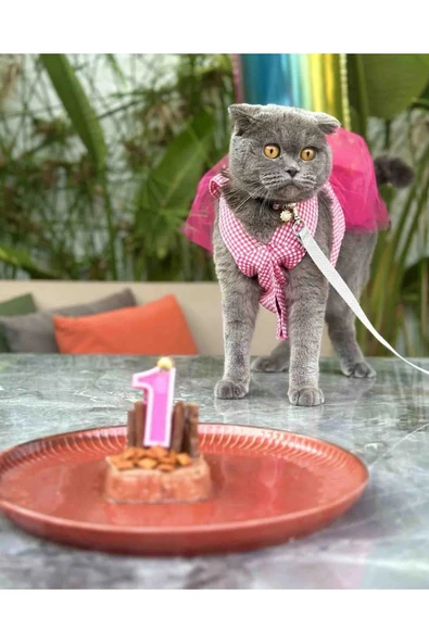 Pembe Kareli Fiyonklu Tüllü Kedi Köpek Kıyafeti Giyimi SMALL/S/Beden 1 - 2