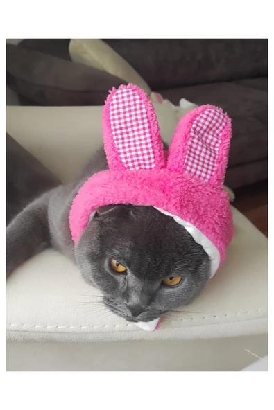 Peluş Tavşan Kulaklı Pembe Kedi Köpek Şapkası Yumuşacık Kedi Köpek Kıyafeti - 1