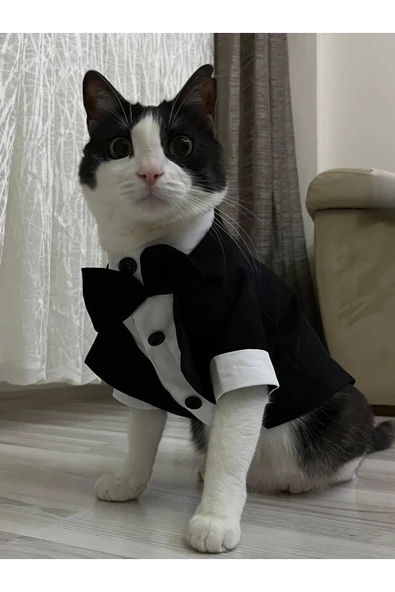 Siyah Papyonlu Smokin Damatlık Kedi ve Köpek Elbisesi Kıyafeti Takım Elbise XXLarge/XXL/Beden 5 - 5