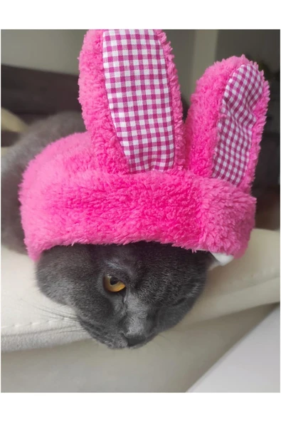 Peluş Tavşan Kulaklı Pembe Kedi Köpek Şapkası Yumuşacık Kedi Köpek Kıyafeti - 3