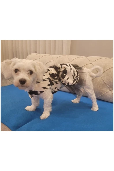 Siyah Beyaz Leopar Desenli Tüllü Kedi Köpek Kıyafeti Elbisesi Small/s/beden 1 - 2