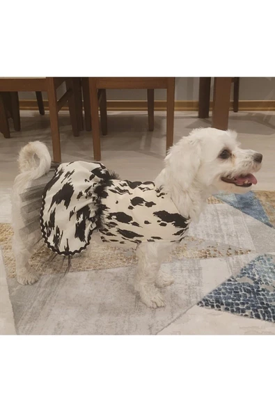 Siyah Beyaz Leopar Desenli Tüllü Kedi Köpek Kıyafeti Elbisesi Medium/m/beden 2