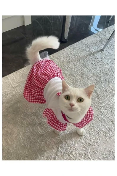 Pembe Kareli Papyonlu Dişi Kedi Köpek Kıyafeti Elbisesi Medium/M/Beden 2