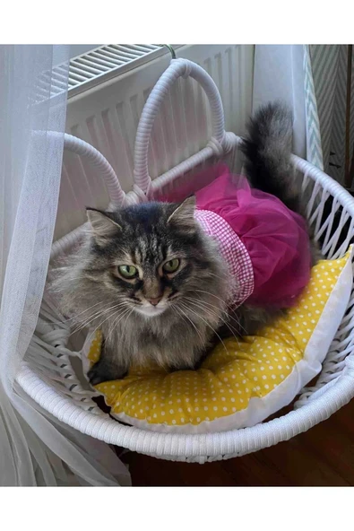 Pembe Kareli Fiyonklu Tüllü Kedi Köpek Kıyafeti Giyimi SMALL/S/Beden 1 - 3