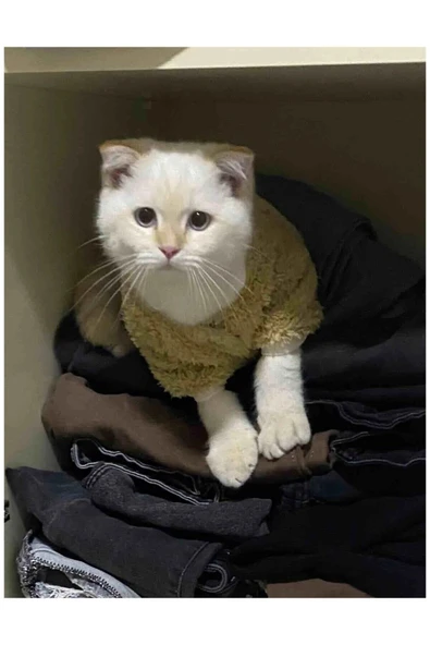 Welsoft Kışlık Çıtçıtlı Sütlü Kahve Kedi Köpek Kıyafeti Elbisesi xlarge/xl/beden 4