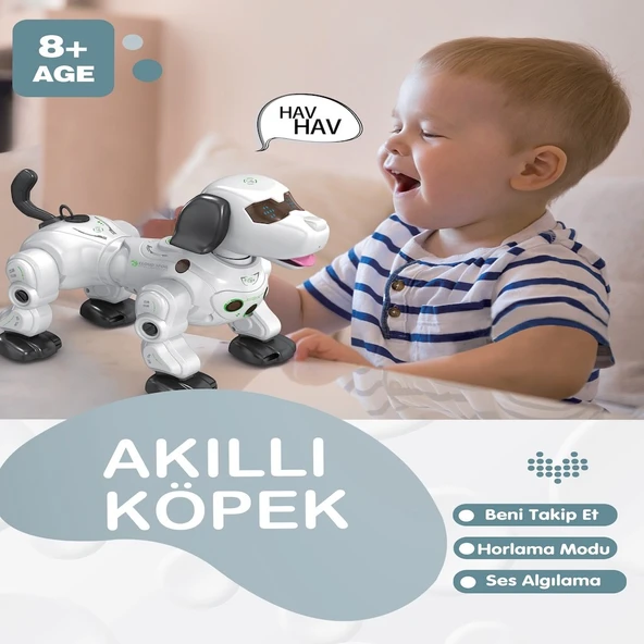 Uzaktan Kumandalı Işıklı ve Sesli Akıllı Robot Köpek - 4