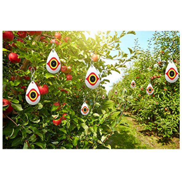 Repel Kuş Korkutucu Göz - Bird Eye - 4lü Takım - 3
