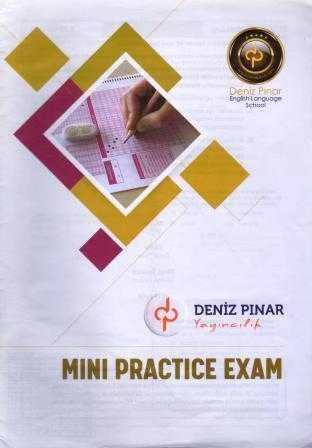 Mini Practice Exam