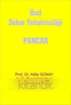 ÖZEL SEBZE (PANCAR) YETİŞTİRİCİLİĞİ