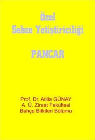 Özel Sebze (Pancar) Yetiştiriciliği