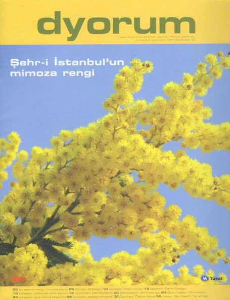 Dyorum Yıl: Mart 2009 Sayı: 20 - Şehr-i İstanbul'un Mimoza Rengi