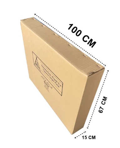 100x67x15 cm Baskılı Taşıma Kolisi