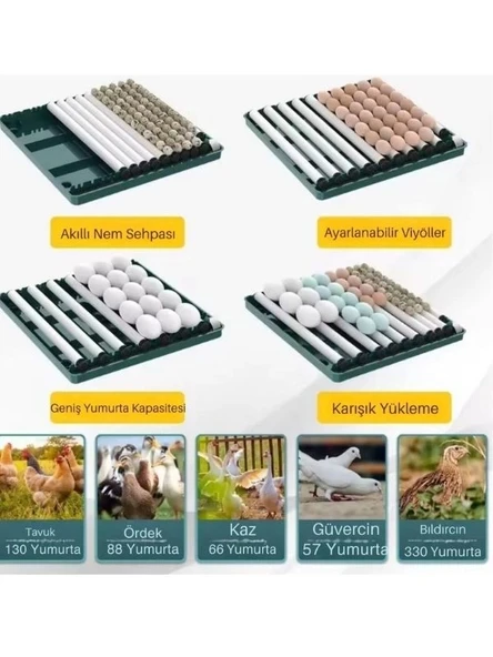 Evonest 70 Yumurtalık Tavuk Kuluçka Makinesi | Hassas Sıcaklık ve Nem Kontrolü - 5